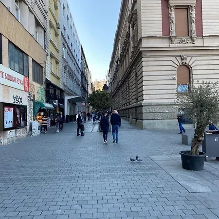 Cika Ljuba Appartement *